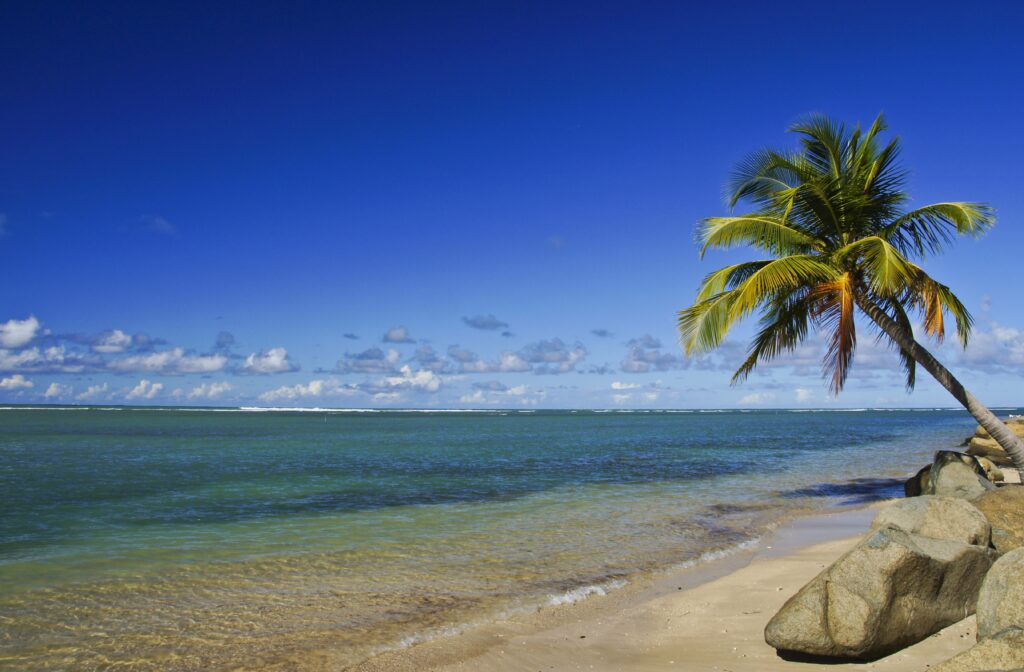 Photo credit: istockphoto/bkamprath