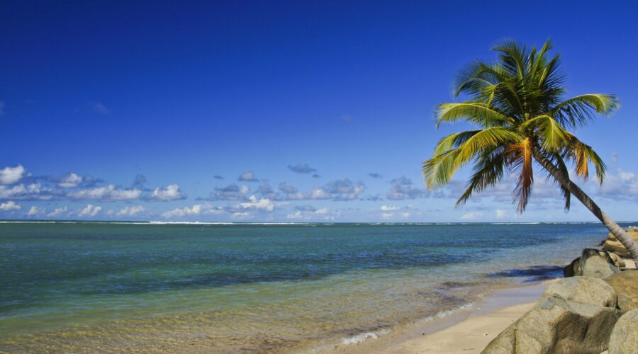 2026 ABMA Convention: Building Competitive Strength Through Strategic Connection