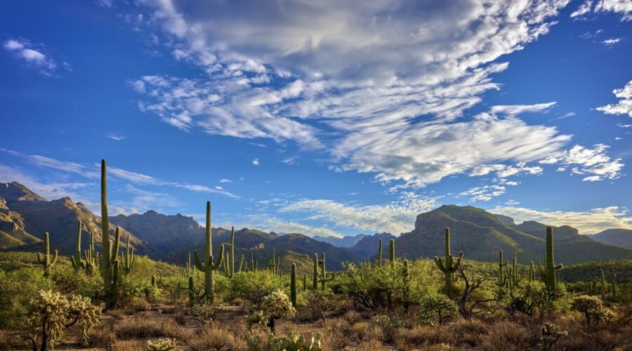 West Coast Brush Manufacturers Association Announces 2026 Annual Meeting in Tucson